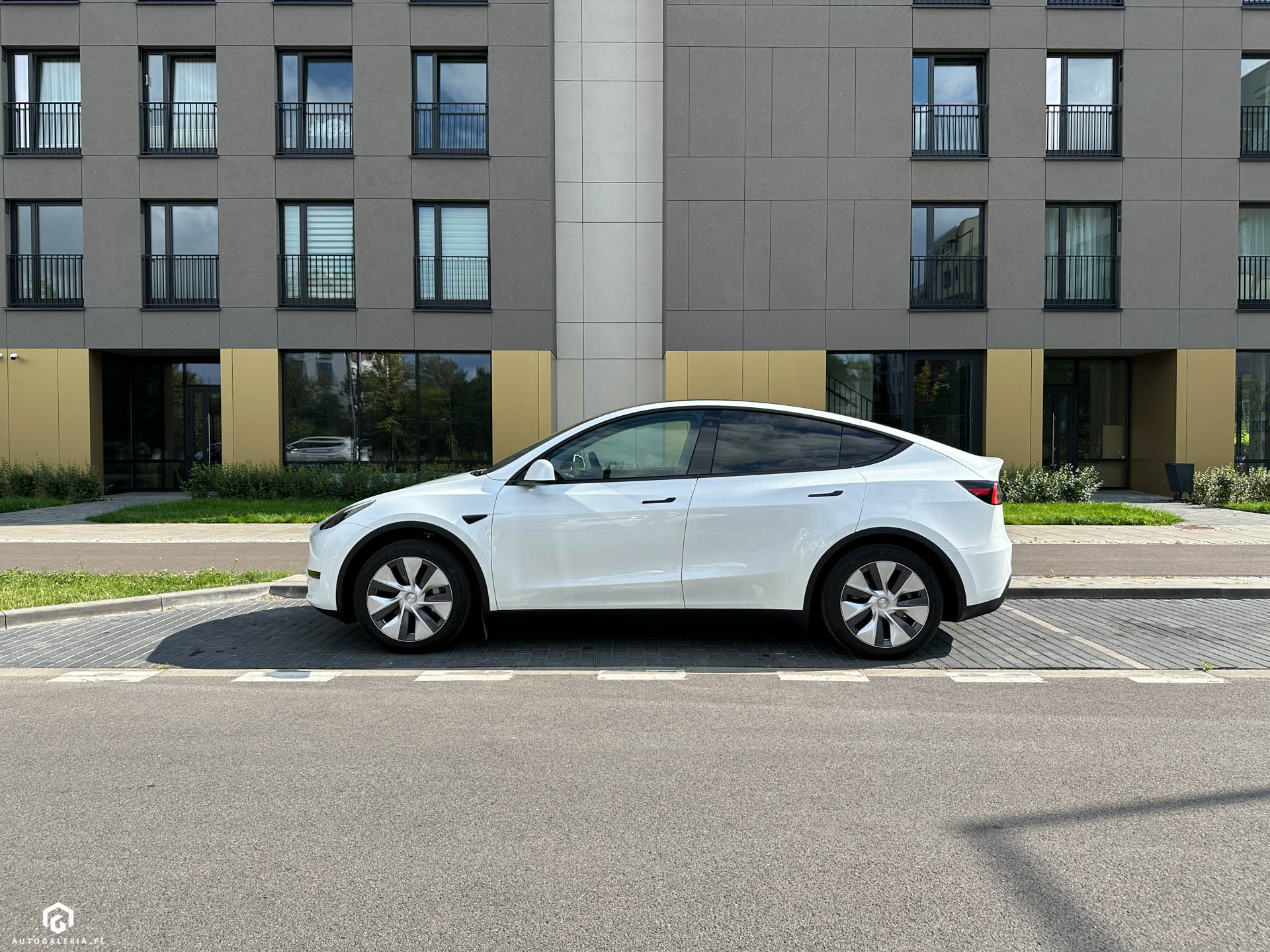 Tesla Model Y opinia