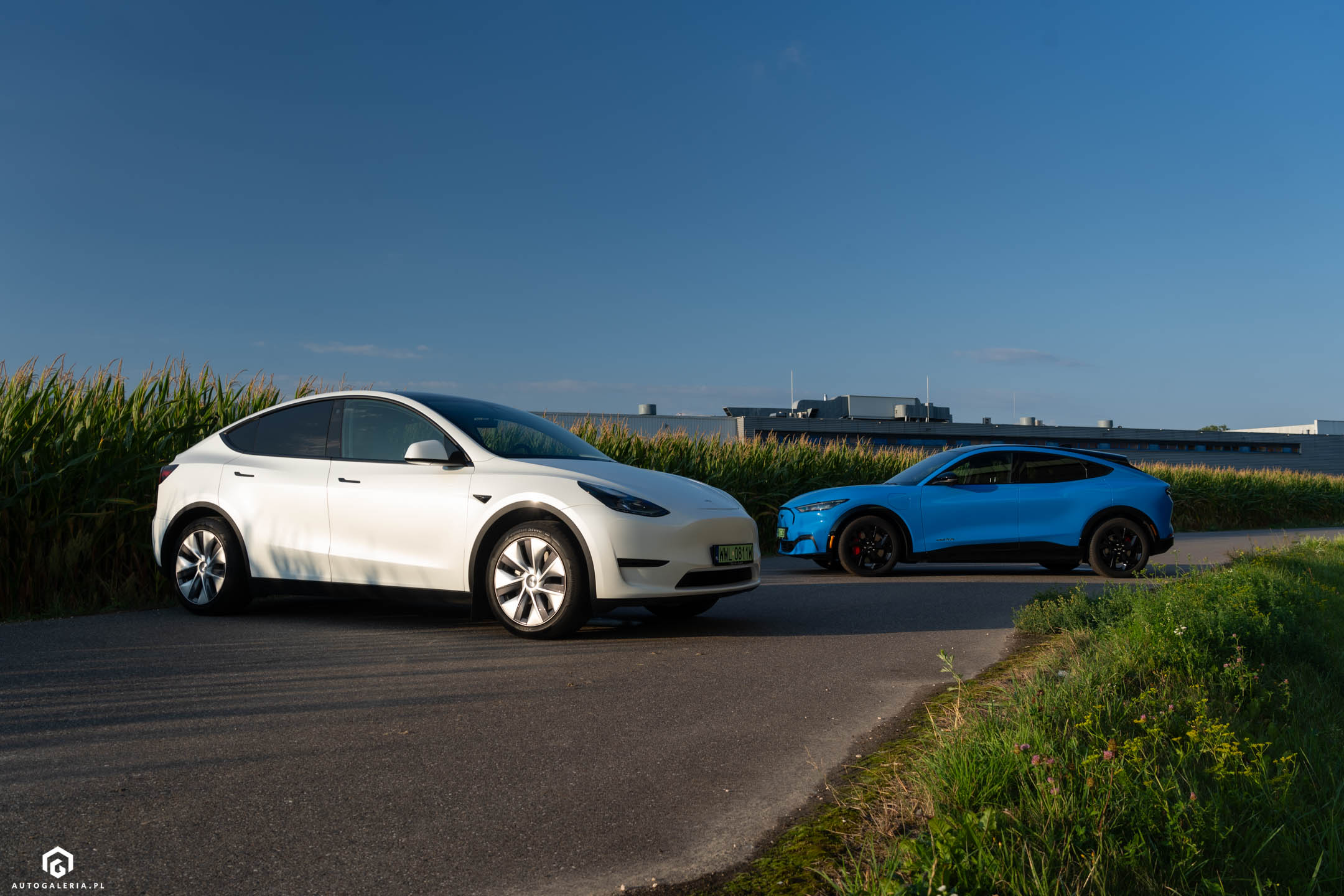 Tesla Model Y Ford Mustang Mach-E TEST