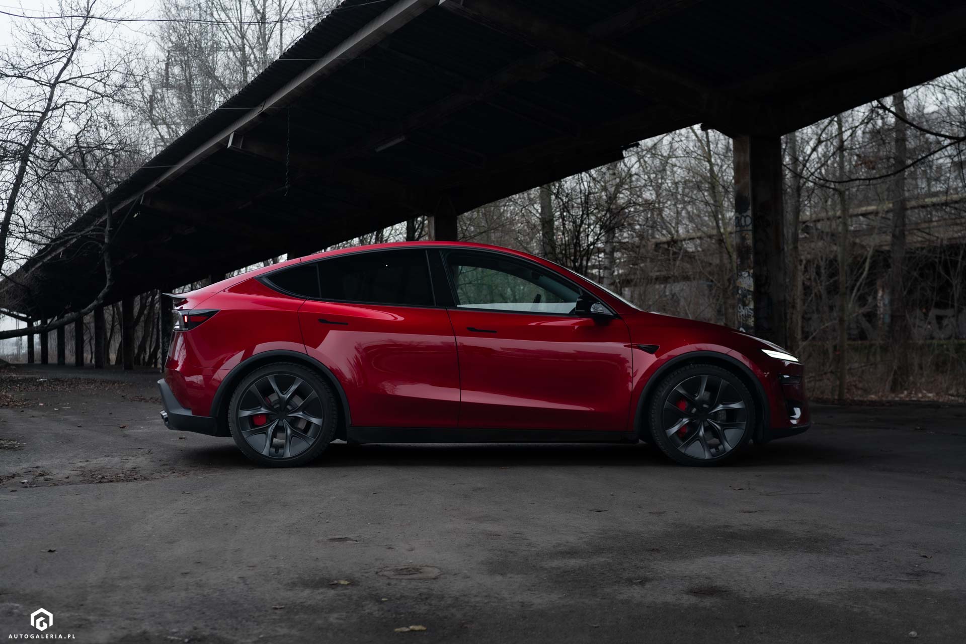 Tesla Model Y Performance opinia