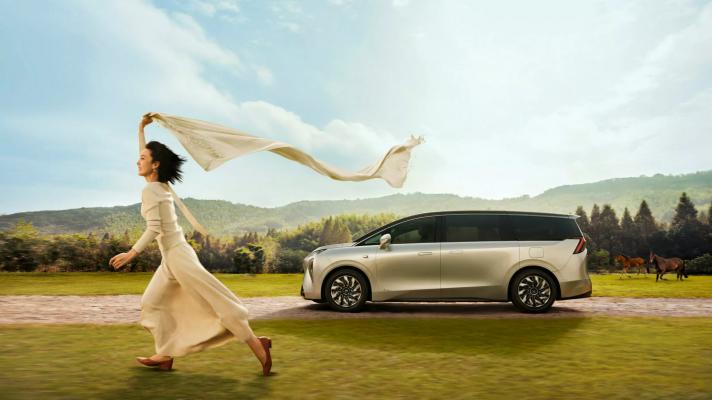 Buick Electra Encasa